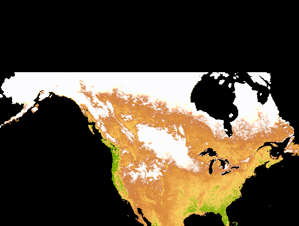 Animated NDVI phenology across North America