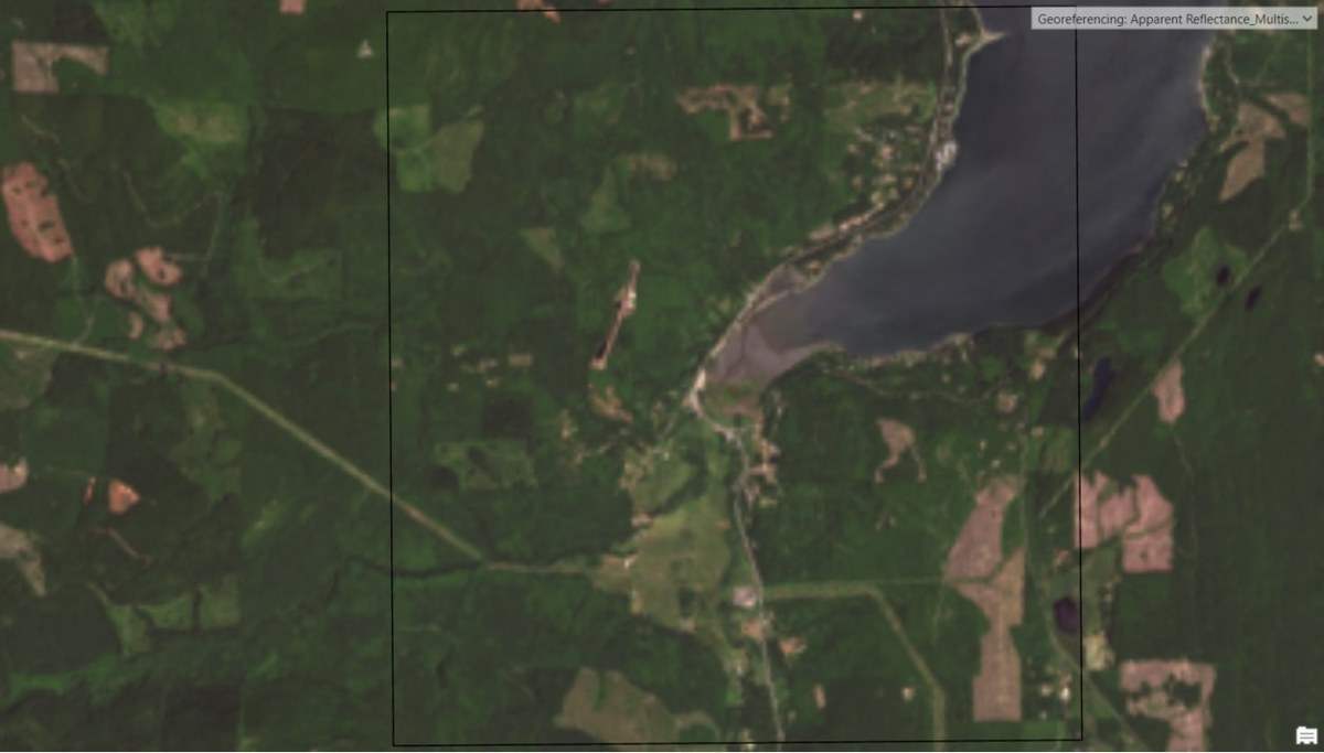 Multispectral georeferencing and apparent reflectance calibration
